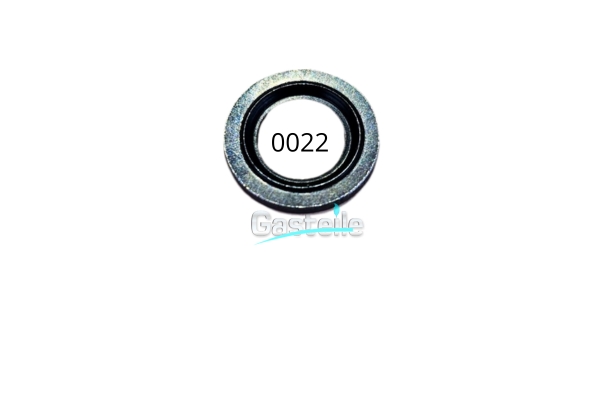 Vialle BONDED SEAL M10 LPDI / V=242722.0 (LPG + Petrol)