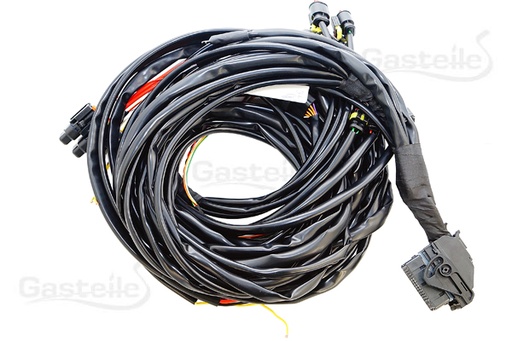 [DE534181] BRC Hauptkabelstrang P&D 8Zyl. IN03, PTS Sensor für BCT (DE534181)